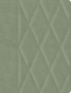 Front cover_CSB Notetaking Bible, Large Print Edition, Sage Suedesoft LeatherTouch
