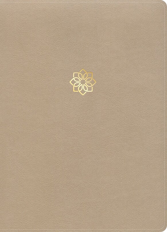 Front cover_CSB Study Bible, Large Print, Digital Study Edition, Gold LeatherTouch, Indexed
