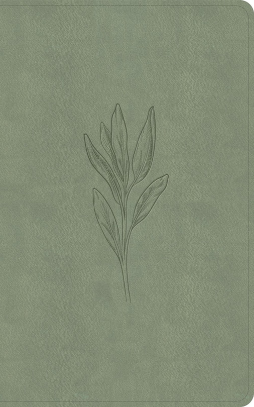 Front cover_KJV Single-Column Personal Size Bible, Sage SuedeSoft LeatherTouch