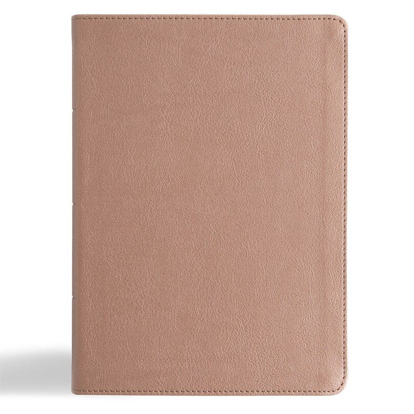 Front cover_KJV Study Bible, Personal Size Edition, Rose Gold LeatherTouch