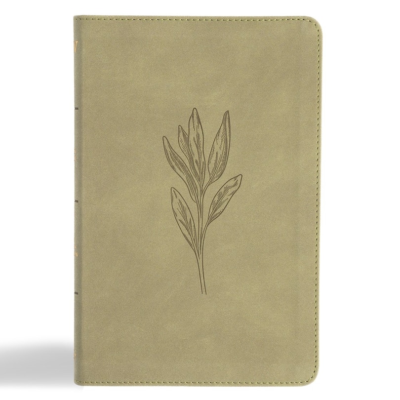 Front cover_KJV Thinline Bible, Sage SuedeSoft LeatherTouch