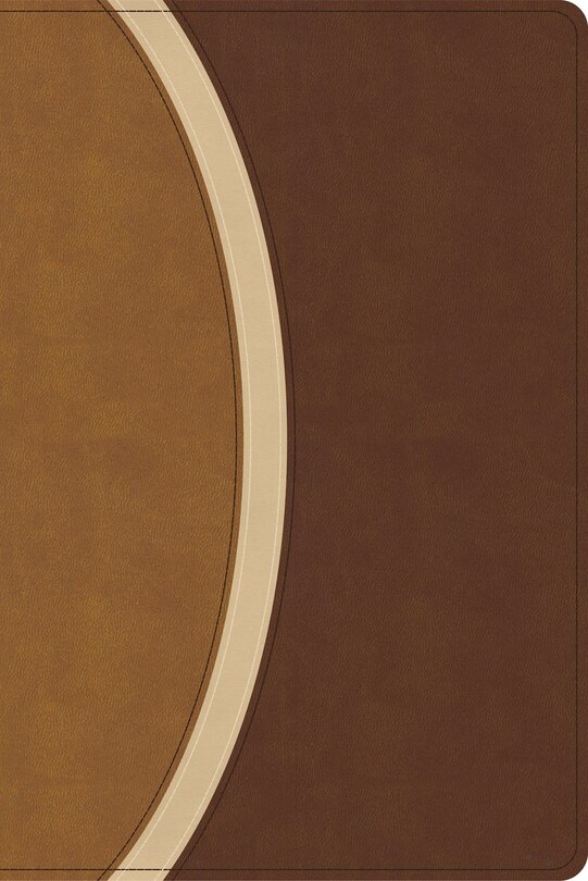 Front cover_CSB Rainbow Study Bible, Brown LeatherTouch (Limited Edition)