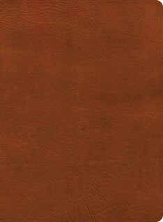 Couverture_NASB Study Bible, Burnt Sienna LeatherTouch