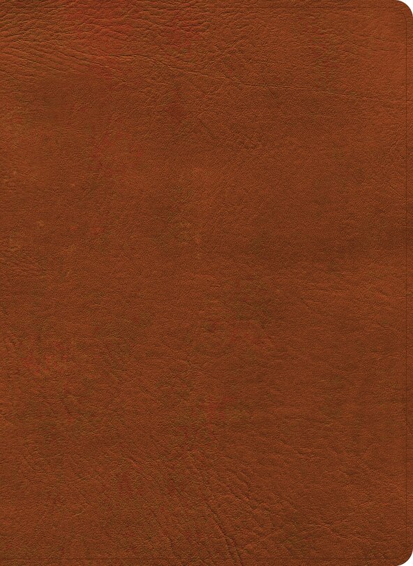 Couverture_NASB Study Bible, Burnt Sienna LeatherTouch