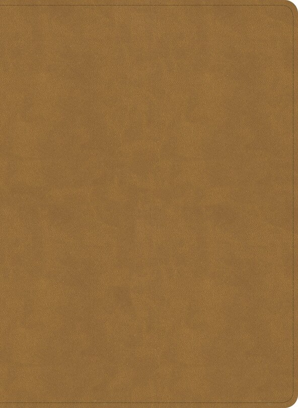 Couverture_NASB Study Bible, Camel SuedeSoft LeatherTouch