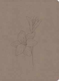 Front cover_CSB Verse-by-Verse Reference Bible, Digital Study Edition, Earth SuedeSoft LeatherTouch