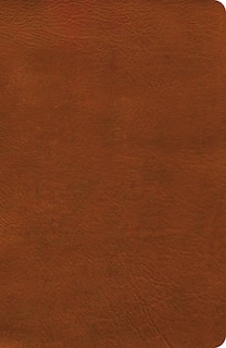 Couverture_NASB Verse-by-Verse Reference Bible, Burnt Sienna LeatherTouch