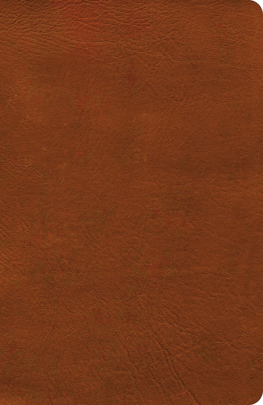 Couverture_NASB Verse-by-Verse Reference Bible, Burnt Sienna LeatherTouch