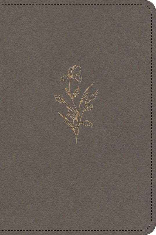 Front cover_KJV Large Print Compact Reference Bible, Clay LeatherTouch