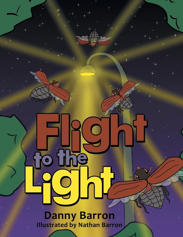 Couverture_Flight to the Light