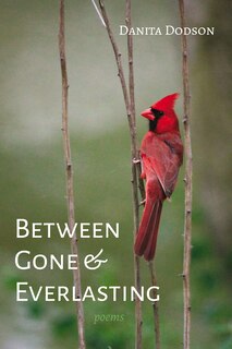 Front cover_Between Gone and Everlasting