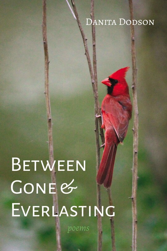 Front cover_Between Gone and Everlasting
