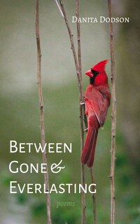 Couverture_Between Gone and Everlasting