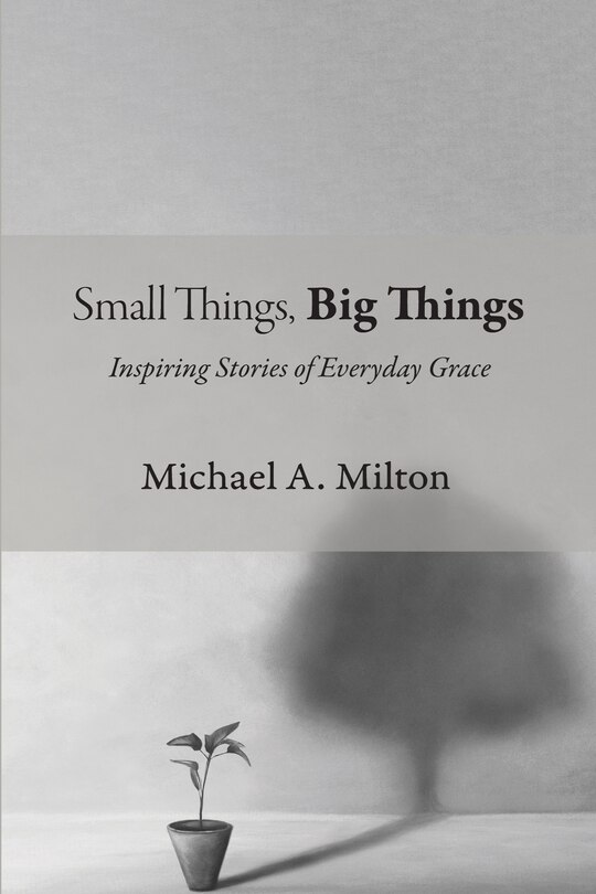 Couverture_Small Things, Big Things