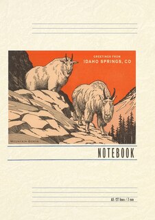 Front cover_Vintage Lined Notebook Greetings from Idaho Springs