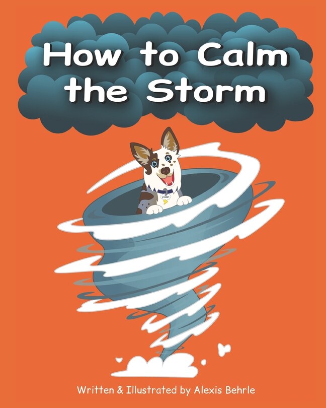 Front cover_How to Calm the Storm