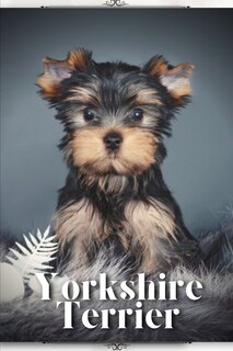 Front cover_Yorkshire Terrier