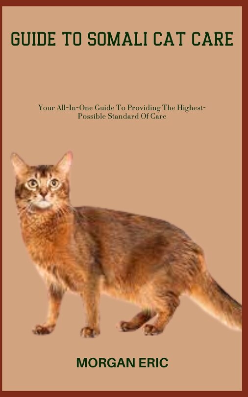 Guide To Somali Cat Care Your Allinone Guide To Providing The