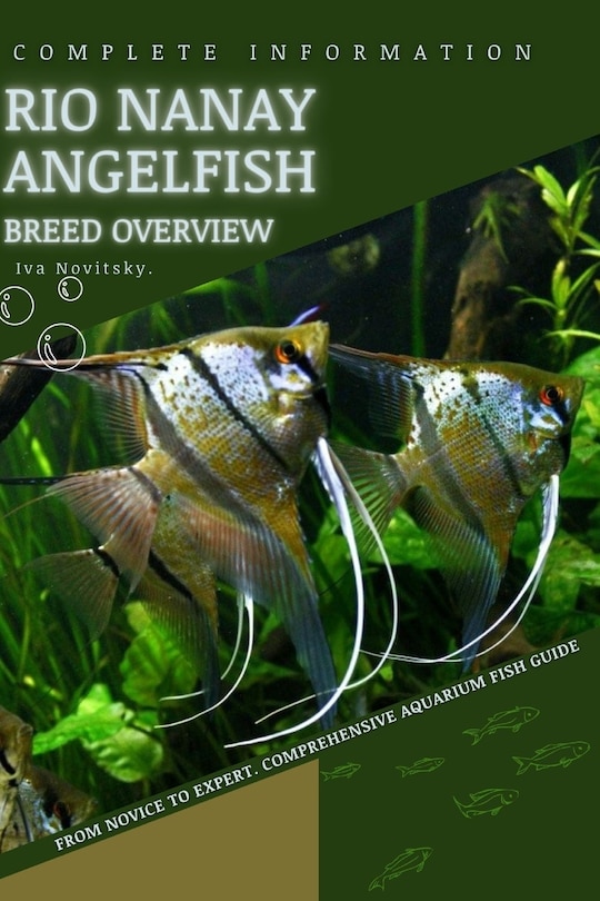 Front cover_Rio Nanay Angelfish