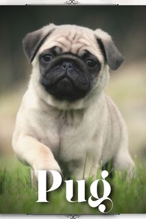 Couverture_Pug