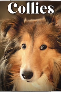 Collies: Dog breed overview and guide