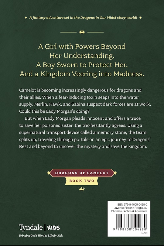 Couverture arri&egrave;re_The Memory Stone