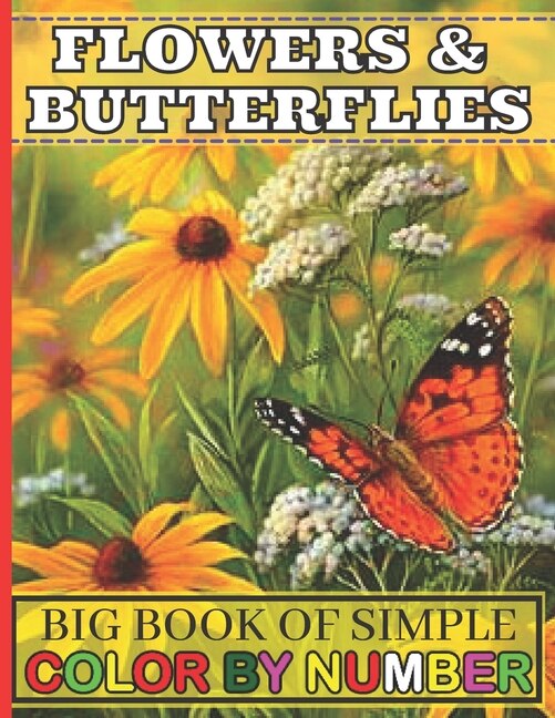 Front cover_Big Book of Simple Color By Number Flowers & Butterflies