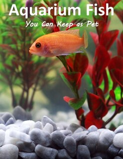 Couverture_Aquarium Fish You Can Keep As Pets