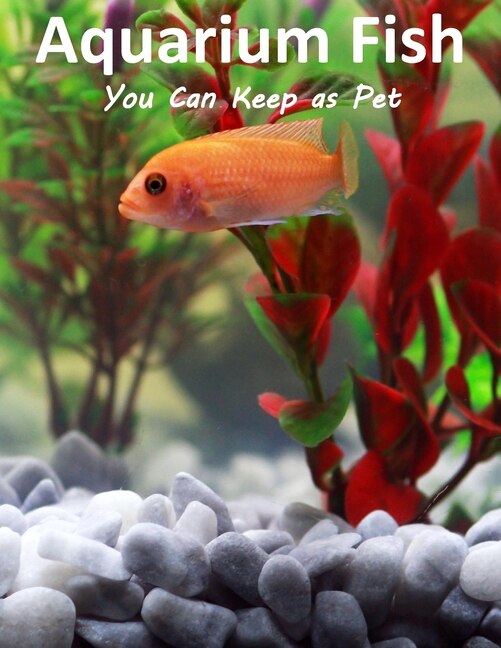Couverture_Aquarium Fish You Can Keep As Pets