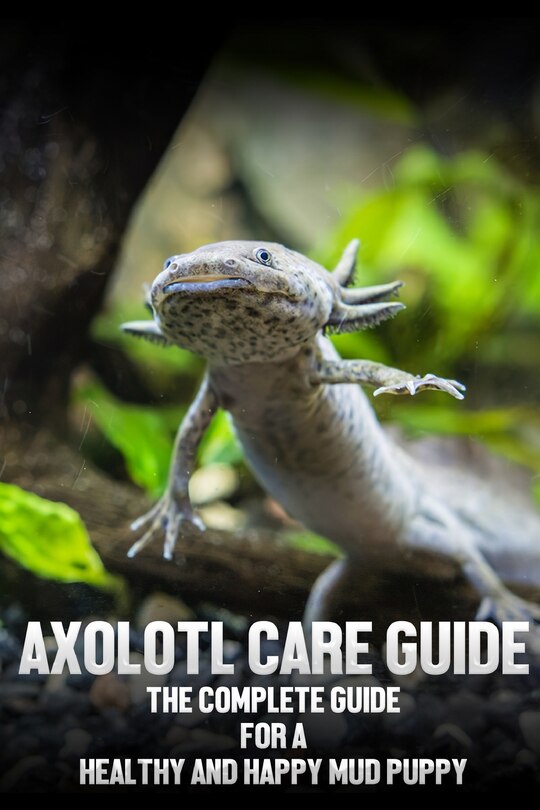 Front cover_Axolotl care guide