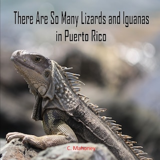 Front cover_There Are So Many Lizards and Iguanas in Puerto Rico