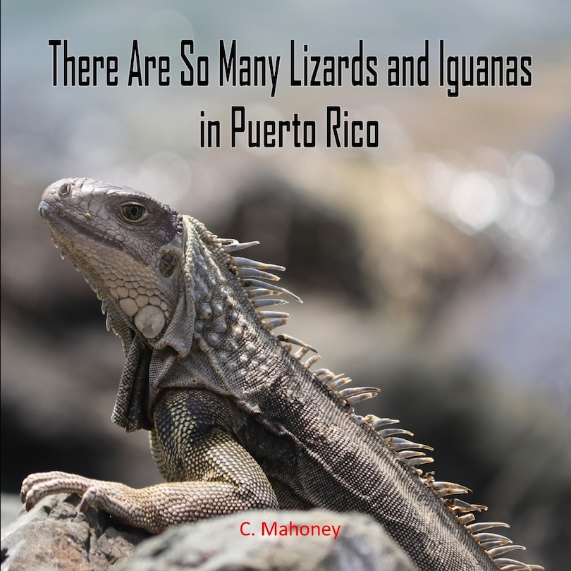 Front cover_There Are So Many Lizards and Iguanas in Puerto Rico