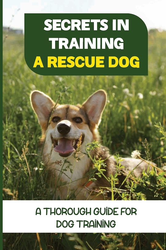 Front cover_Secrets In Training A Rescue Dog