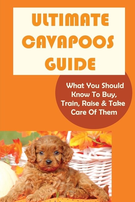 Front cover_Ultimate Cavapoos Guide