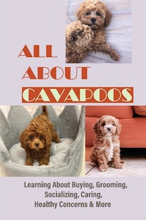 Couverture_All About Cavapoos