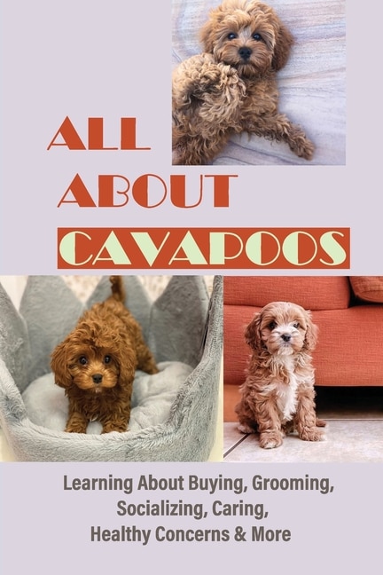 Couverture_All About Cavapoos