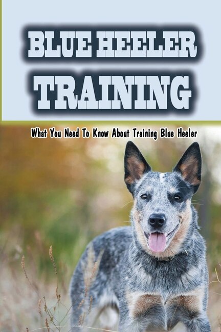 Blue heeler trainers sale near me