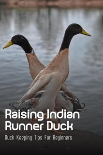 Raising Indian Runner Duck: Duck Keeping Tips For Beginners: Indian Runner Duck Meat Production