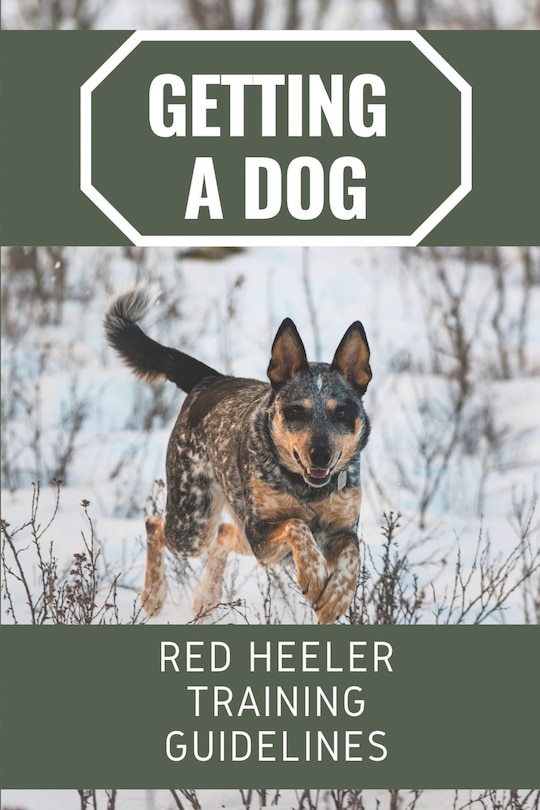 Couverture_Getting A Dog