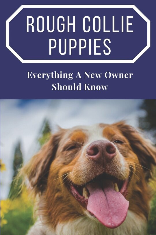 Front cover_Rough Collie Puppies