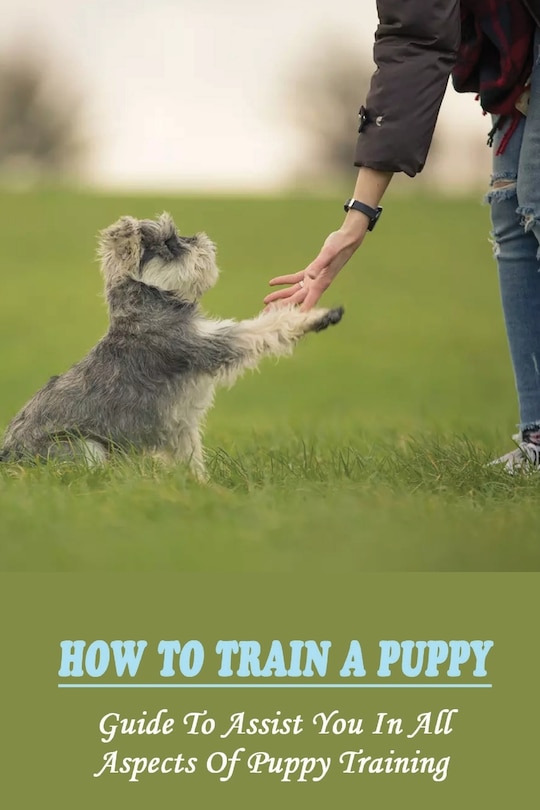 Front cover_How To Train A Puppy