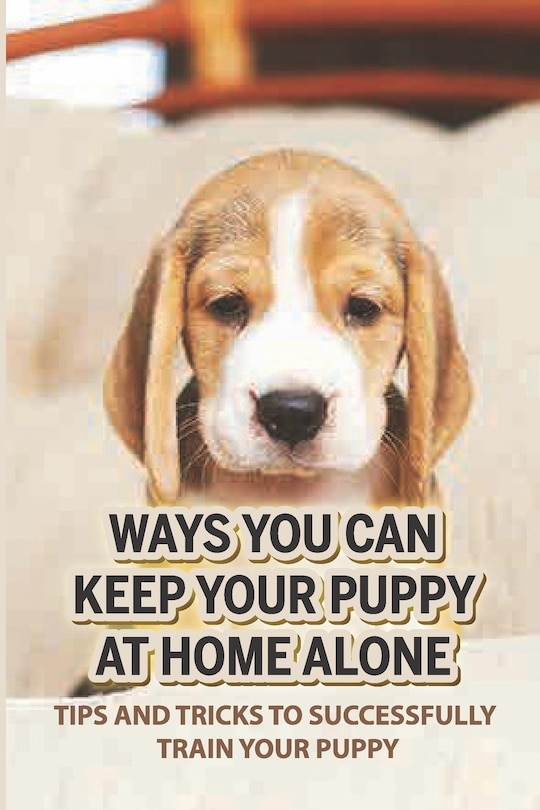 Front cover_Ways You Can Keep Your Puppy At Home Alone