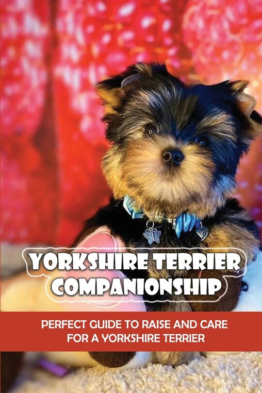 Front cover_Yorkshire Terrier Companionship