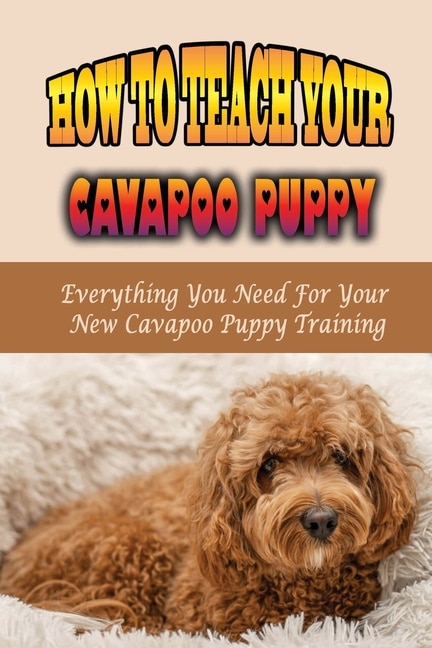 Front cover_How To Teach Your Cavapoo Puppy