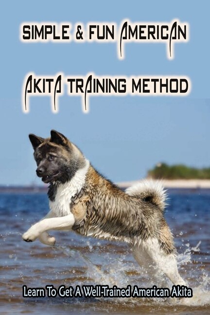 American cheap akita training