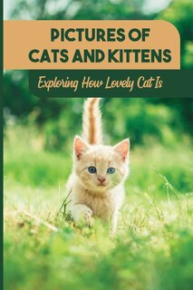 Couverture_Pictures Of Cats And Kittens