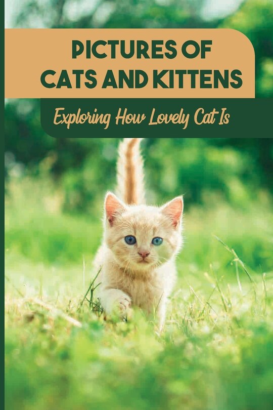 Couverture_Pictures Of Cats And Kittens