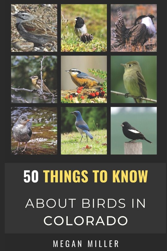 Front cover_50 Things to Know About Birds in Colorado