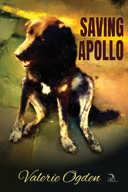 Couverture_Saving Apollo