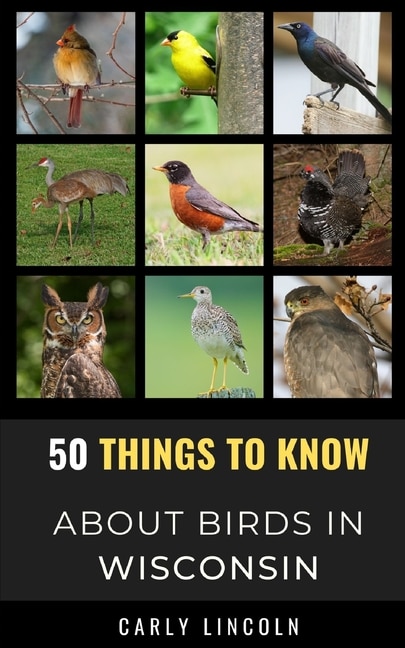 Front cover_50 Things To Know About Birds In Wisconsin